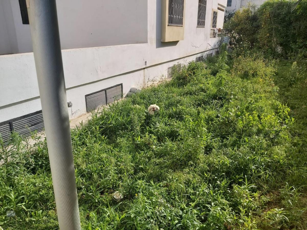 Ideal Appart Ain Zaghouan Tunis El Aouina Zewnętrze zdjęcie